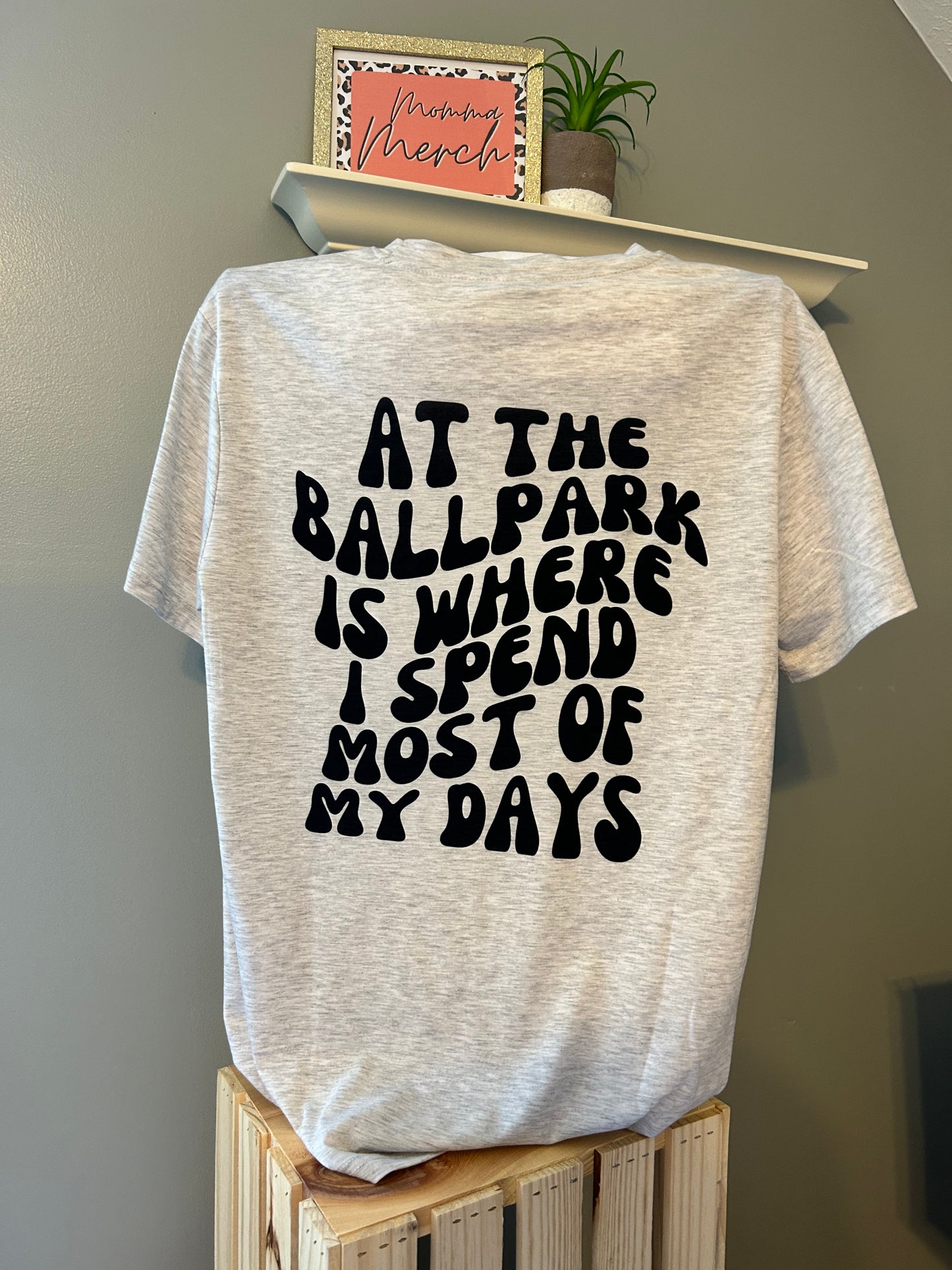 AT THE BALLPARK