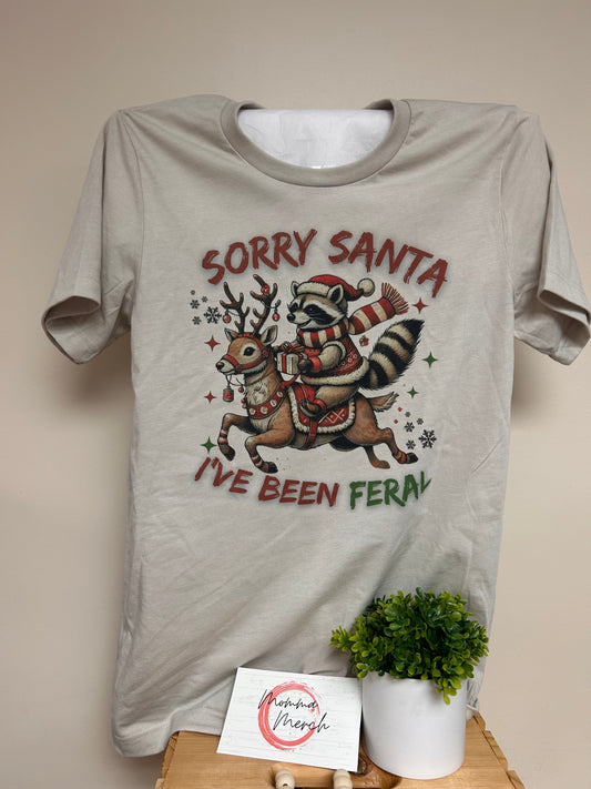 SORRY SANTA