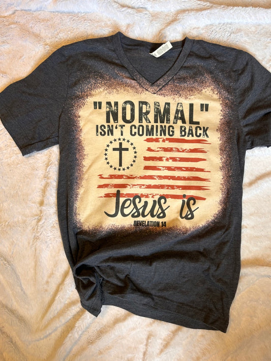 NORMAL ISN'T COMING BACK